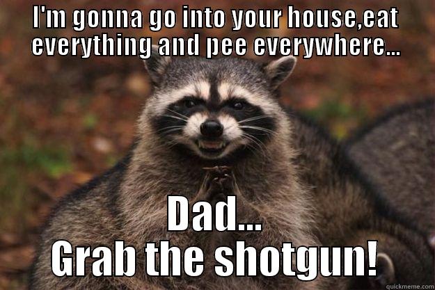 I'M GONNA GO INTO YOUR HOUSE,EAT EVERYTHING AND PEE EVERYWHERE... DAD... GRAB THE SHOTGUN! Evil Plotting Raccoon