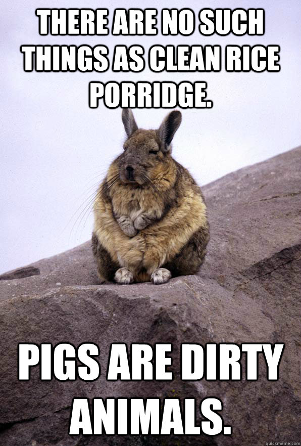 There are no such things as clean rice porridge. Pigs are dirty animals.  Wise Wondering Viscacha