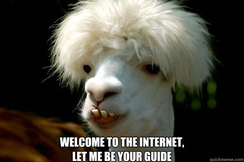  Welcome to the internet,
let me be your guide  