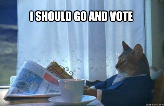 I SHOULD GO AND VOTE - I SHOULD GO AND VOTE  Sophisticated Cat