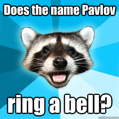 Does the name Pavlov   ring a bell?  Lame Pun Coon