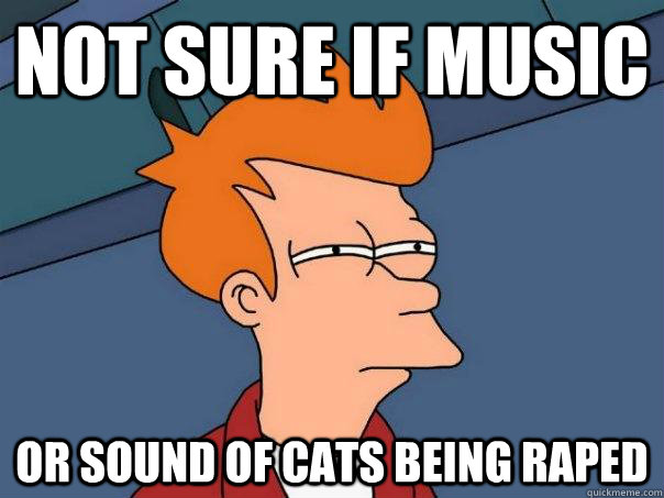 Not sure if music Or sound of cats being raped  Futurama Fry