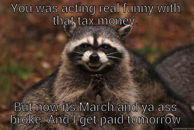 YOU WAS ACTING REAL FUNNY WITH THAT TAX MONEY. BUT NOW ITS MARCH AND YA ASS BROKE. AND I GET PAID TOMORROW Evil Plotting Raccoon