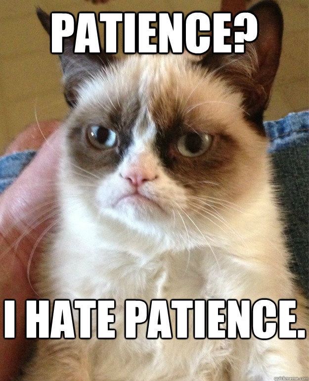 Patience? I hate Patience.  Grumpy Cat