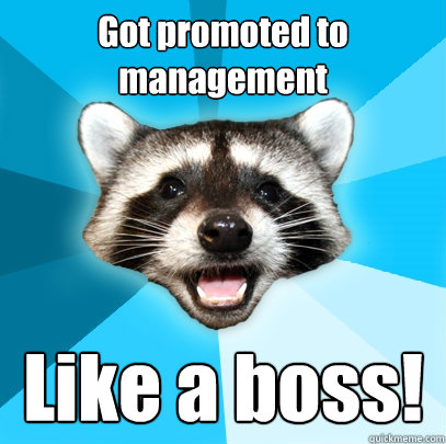 Got promoted to management Like a boss! - Got promoted to management Like a boss!  Lame Pun Coon