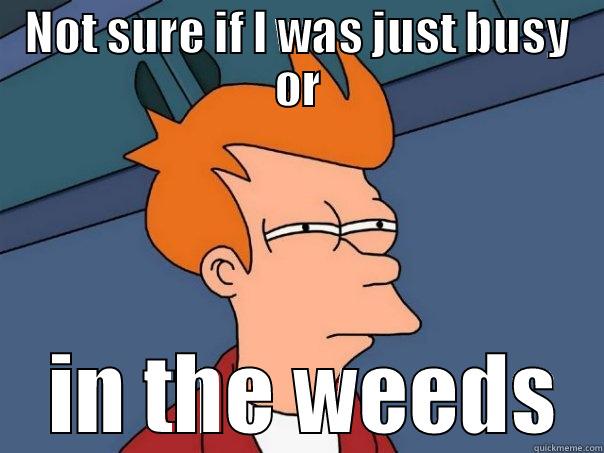 NOT SURE IF I WAS JUST BUSY OR  IN THE WEEDS Futurama Fry