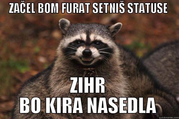 ZAČEL BOM FURAT SETNIŠ STATUSE ZIHR BO KIRA NASEDLA Evil Plotting Raccoon