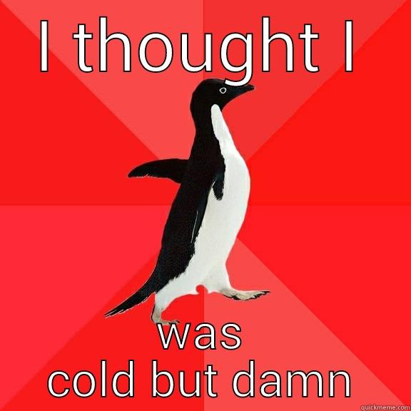 I THOUGHT I WAS COLD BUT DAMN Socially Awesome Penguin