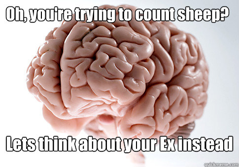 Oh, you're trying to count sheep? Lets think about your Ex instead   Scumbag Brain