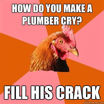 How do you make a plumber cry? fill his crack
  Anti-Joke Chicken