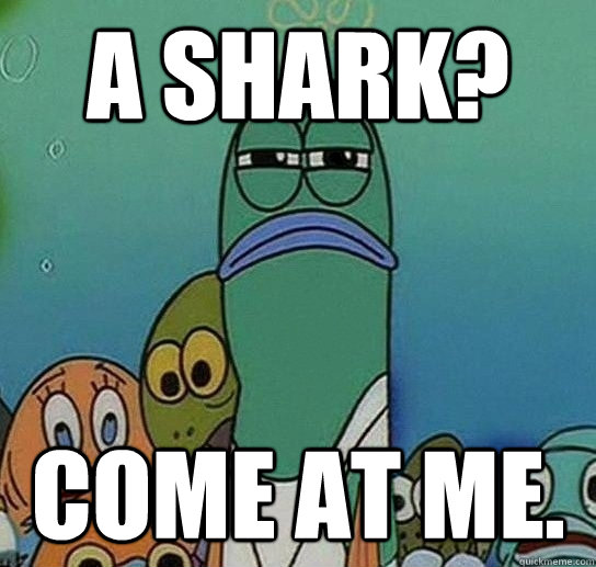 A Shark? Come at me.  Serious fish SpongeBob