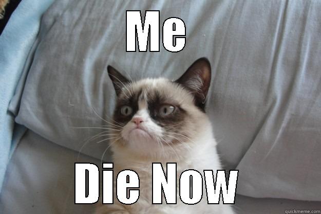 ME DIE NOW Grumpy Cat