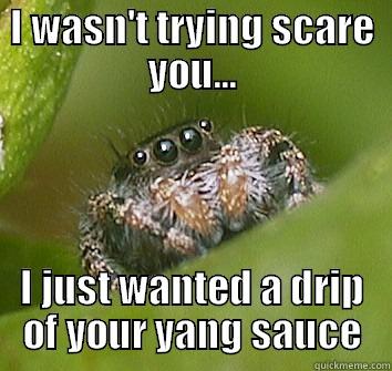 yang sauce spider - I WASN'T TRYING SCARE YOU... I JUST WANTED A DRIP OF YOUR YANG SAUCE Misunderstood Spider