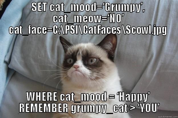 SQL for Kitty - SET CAT_MOOD=‘GRUMPY’, CAT_MEOW=‘NO’ CAT_FACE=C:\PSI\CATFACES\SCOWL.JPG WHERE CAT_MOOD = ‘HAPPY’  REMEMBER GRUMPY_CAT > ‘YOU’ Grumpy Cat