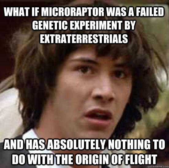 what if microraptor was a failed genetic experiment by extraterrestrials And has absolutely nothing to do with the origin of flight  conspiracy keanu