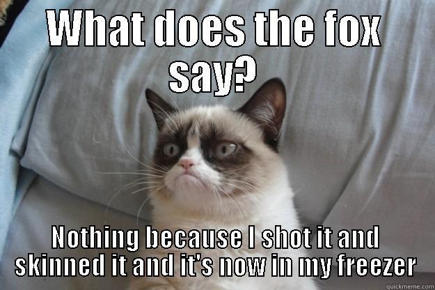 WHAT DOES THE FOX SAY? NOTHING BECAUSE I SHOT IT AND SKINNED IT AND IT'S NOW IN MY FREEZER Grumpy Cat