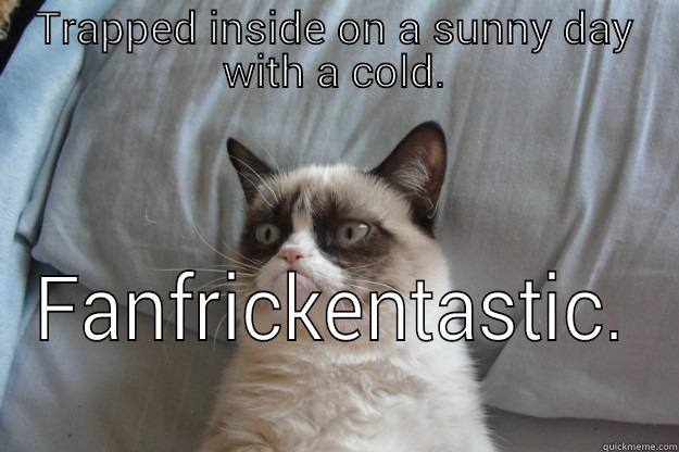 Colds Blow - TRAPPED INSIDE ON A SUNNY DAY WITH A COLD. FANFRICKENTASTIC. Grumpy Cat