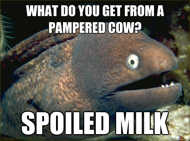 what do you get from a pampered cow? spoiled milk  Bad Joke Eel