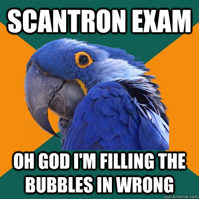 Scantron exam Oh god I'm filling the bubbles in wrong - Scantron exam Oh god I'm filling the bubbles in wrong  Paranoid Parrot