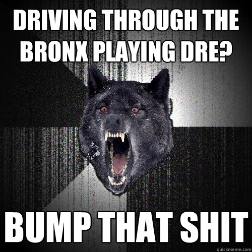 Driving through the bronx playing dre? Bump that shit  Insanity Wolf