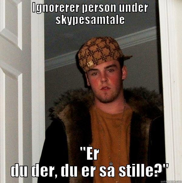 IGNORERER PERSON UNDER SKYPESAMTALE 