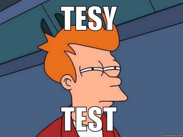 TESY TEST Futurama Fry