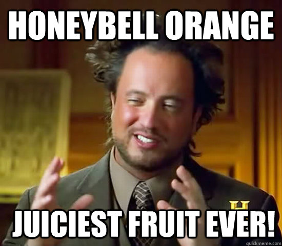 honeybell orange  juiciest fruit ever!  Ancient Aliens