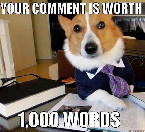 YOUR COMMENT IS WORTH        1,000 WORDS       Lawyer Dog