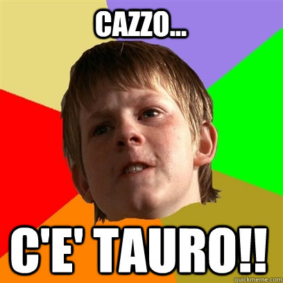 Cazzo... c'e' tauro!!  Angry School Boy