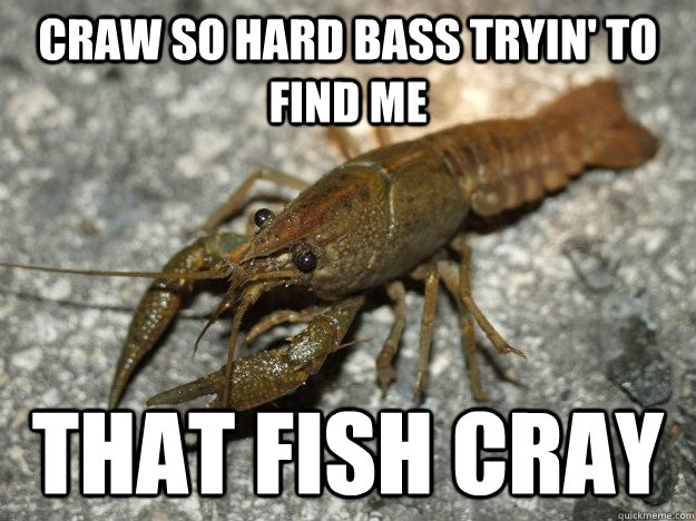 Craw so hard bass tryin' to find me that fish cray  that fish cray