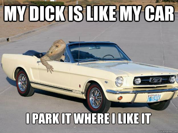 My dick is like my car i park it where i like it

  Pickup Dragon