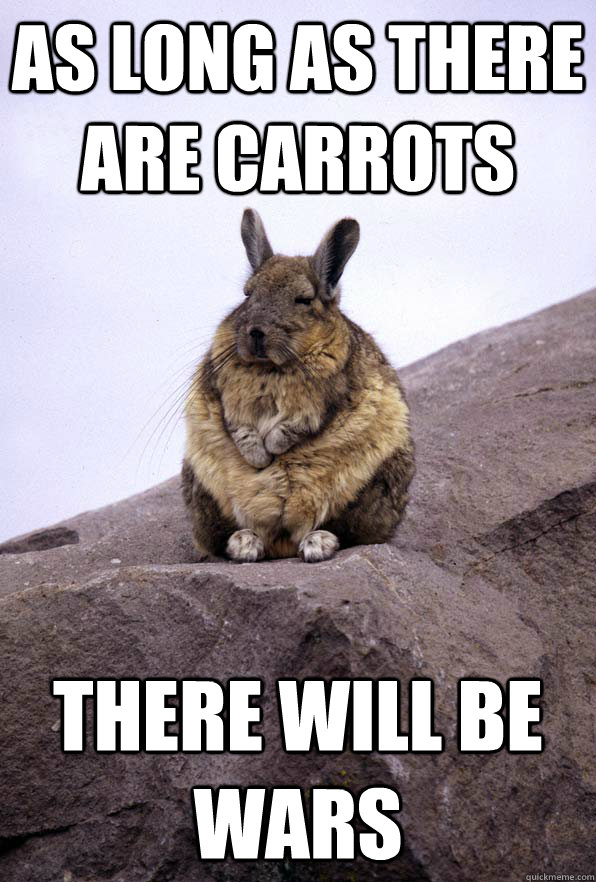 As long as there are carrots there will be wars  Wise Wondering Viscacha