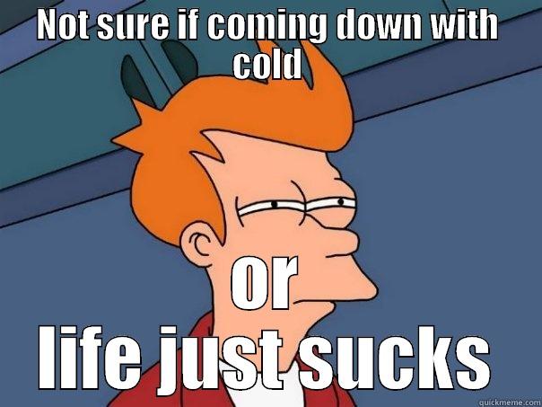 Cold... or suck - NOT SURE IF COMING DOWN WITH COLD OR LIFE JUST SUCKS Futurama Fry