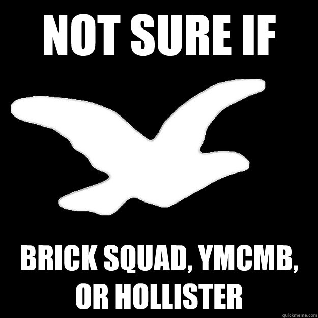 Not Sure if Brick Squad, YMCMB, or Hollister - Not Sure if Brick Squad, YMCMB, or Hollister  Burrr