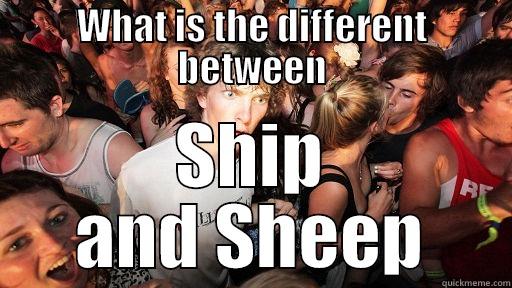 WHAT IS THE DIFFERENT BETWEEN SHIP AND SHEEP Sudden Clarity Clarence