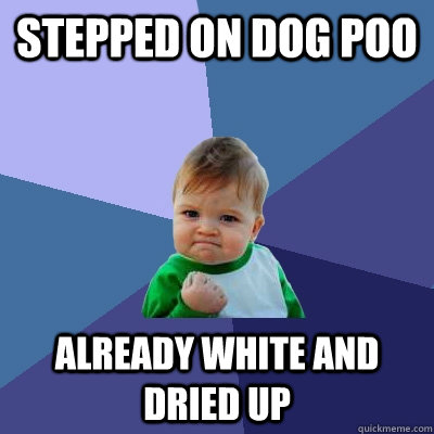 Stepped on dog poo Already white and dried up  Success Kid