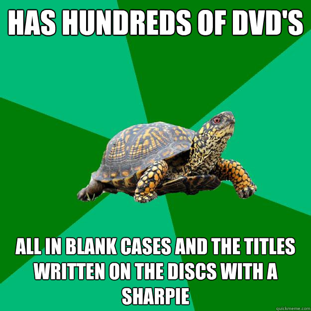 has hundreds of dvd's all in blank cases and the titles written on the discs with a sharpie - has hundreds of dvd's all in blank cases and the titles written on the discs with a sharpie  Torrenting Turtle