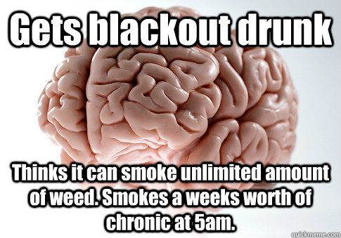 Gets blackout drunk Thinks it can smoke unlimited amount of weed. Smokes a weeks worth of chronic at 5am.   Scumbag Brain