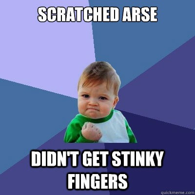 Scratched arse didn't get stinky fingers  Success Kid