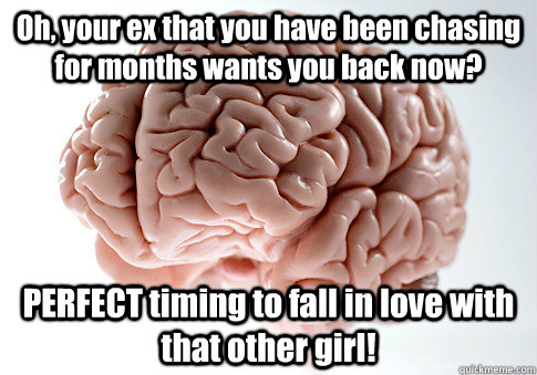 Oh, your ex that you have been chasing for months wants you back now? PERFECT timing to fall in love with that other girl!  Scumbag Brain