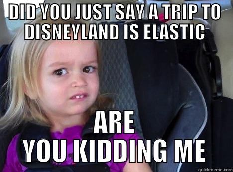 Elastic Demand - DID YOU JUST SAY A TRIP TO DISNEYLAND IS ELASTIC ARE YOU KIDDING ME Misc