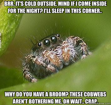 BRR. IT'S COLD OUTSIDE. MIND IF I COME INSIDE FOR THE NIGHT? I'LL SLEEP IN THIS CORNER..  WHY DO YOU HAVE A BROOM? THESE COBWEBS AREN'T BOTHERING ME. OH WAIT.. CRAP.  Misunderstood Spider