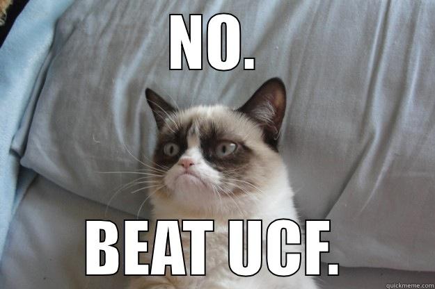 no, beat ucf - NO. BEAT UCF. Grumpy Cat