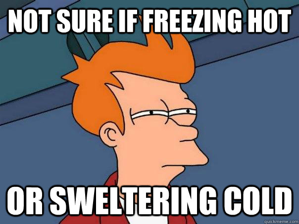 Not sure if freezing hot Or sweltering cold - Not sure if freezing hot Or sweltering cold  Futurama Fry