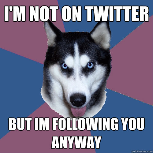 I'm not on twitter but Im following you anyway  Creeper Canine