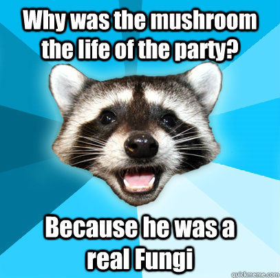 Why was the mushroom the life of the party? Because he was a         real Fungi  - Why was the mushroom the life of the party? Because he was a         real Fungi   Lame Pun Coon