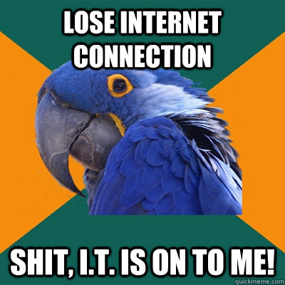 lose internet connection Shit, I.T. is on to me!  Paranoid Parrot