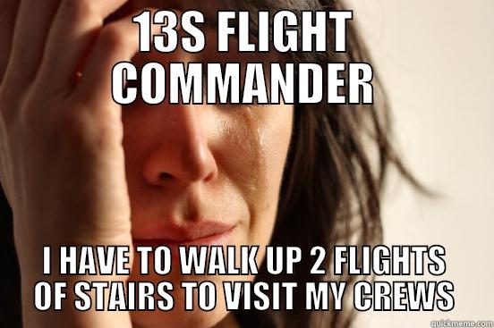 FLIGHT CC - 13S FLIGHT COMMANDER I HAVE TO WALK UP 2 FLIGHTS OF STAIRS TO VISIT MY CREWS First World Problems