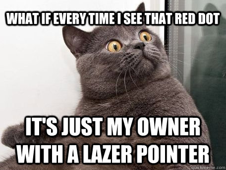 what if every time i see that red dot it's just my owner with a lazer pointer  conspiracy cat