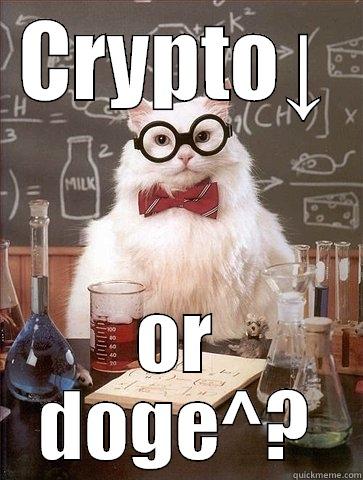 CRYPTO↓ OR DOGE^? Chemistry Cat